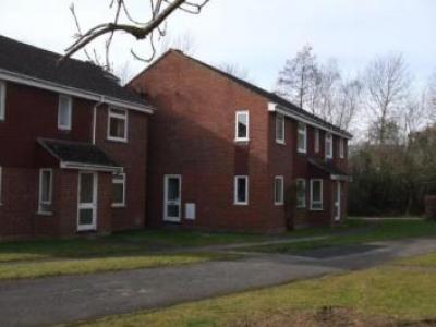 Annonce Location Appartement Basingstoke