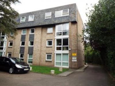 Annonce Location Appartement Leicester