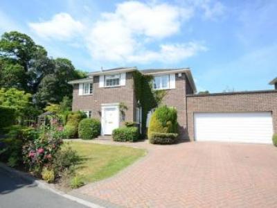 Annonce Location Maison Bracknell