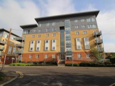 Annonce Location Appartement Borehamwood