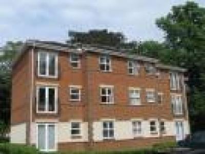 Annonce Location Appartement Basingstoke