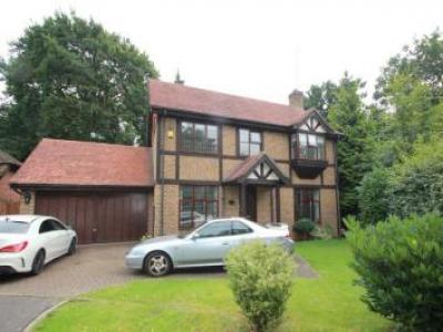 Annonce Location Maison West-byfleet