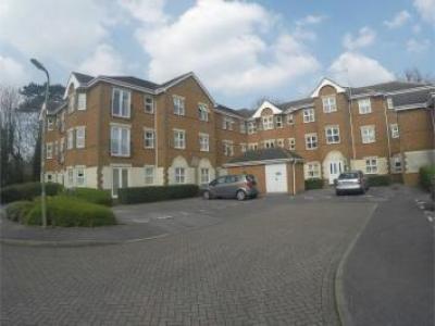 Annonce Location Appartement Basingstoke