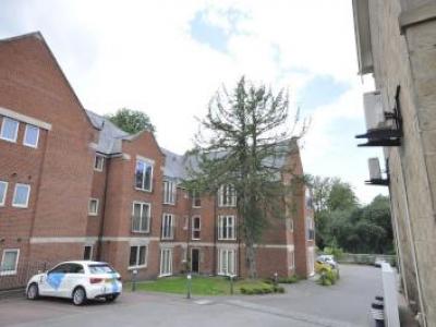 Annonce Location Appartement Belper