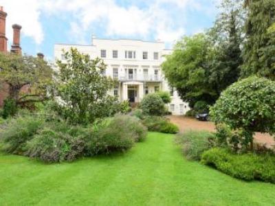 Annonce Location Appartement East-molesey