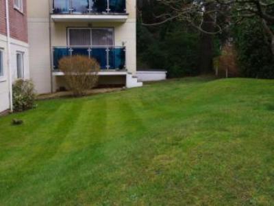 Annonce Location Appartement Poole