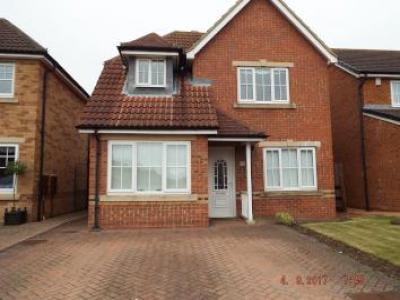 Annonce Location Maison Hartlepool