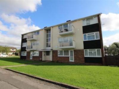 Annonce Location Appartement Borehamwood