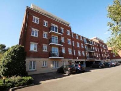 Annonce Location Appartement Cheltenham