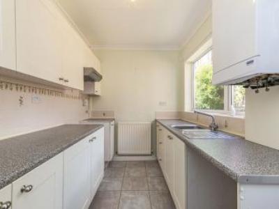 Annonce Location Maison Ferryhill