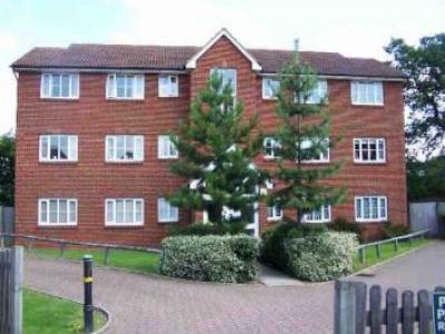 Annonce Location Appartement Borehamwood