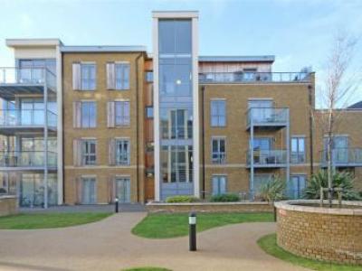 Annonce Location Appartement Teddington