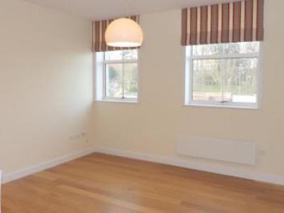 Louer Appartement Bristol