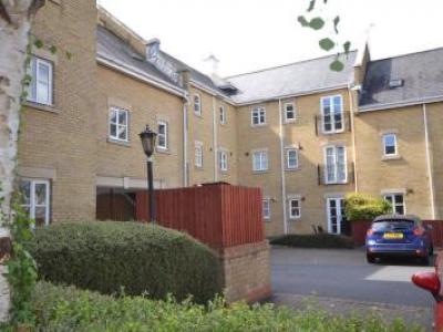 Annonce Location Maison Chelmsford