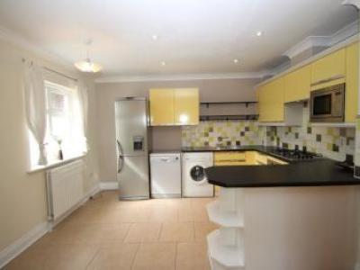 Annonce Location Appartement Sutton