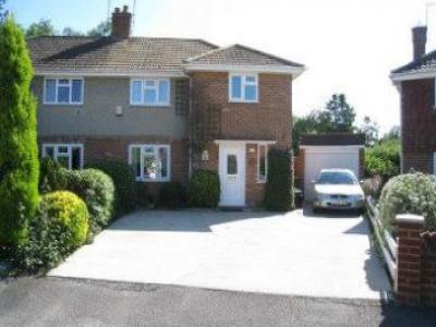 Annonce Location Maison Horley