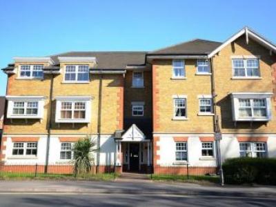 Annonce Location Appartement Ascot