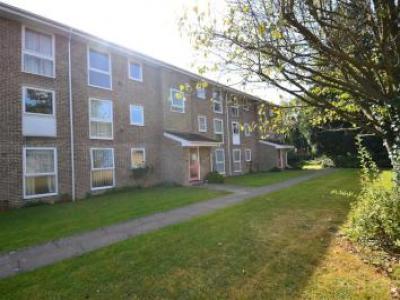 Annonce Location Appartement Horley