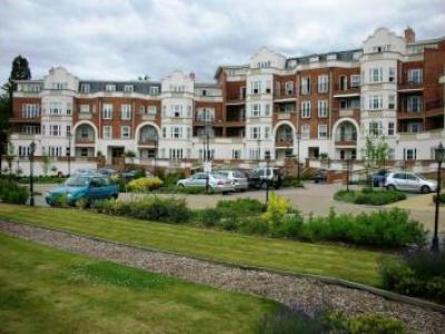 Annonce Location Appartement Ascot