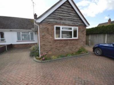 Annonce Location Maison Chelmsford