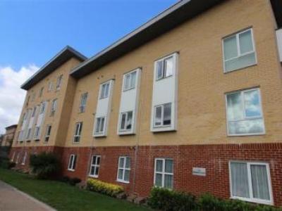 Annonce Location Appartement Borehamwood