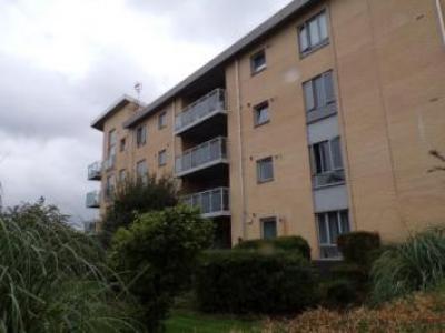 Annonce Location Appartement Chelmsford