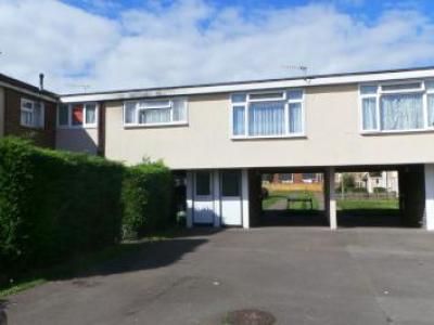 Annonce Location Appartement Fareham