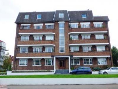 Annonce Location Appartement Surbiton