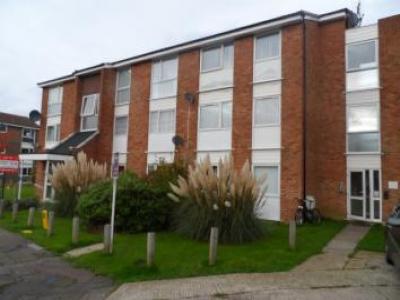 Annonce Location Appartement Chelmsford