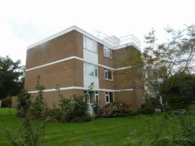 Annonce Location Appartement Borehamwood