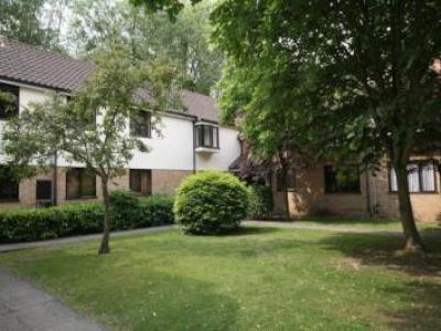 Annonce Location Appartement Sawbridgeworth