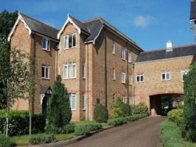 Annonce Location Appartement St-albans