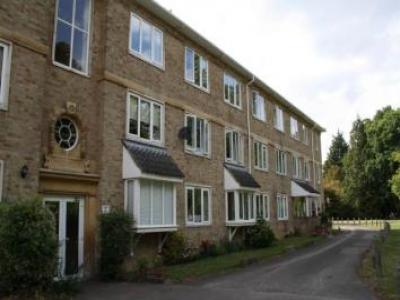 Annonce Location Appartement Norwich