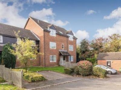 Annonce Location Appartement St-albans