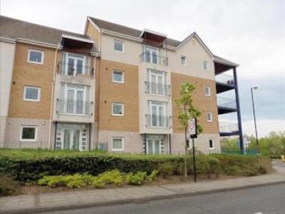 Annonce Location Appartement North-shields