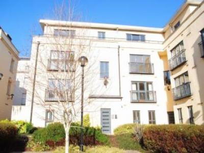 Annonce Location Appartement Bristol