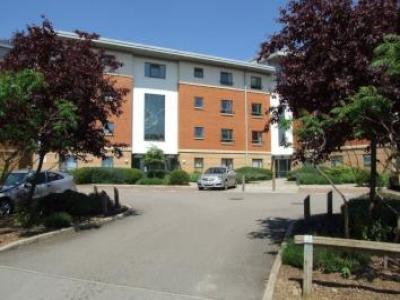 Annonce Location Appartement Northampton