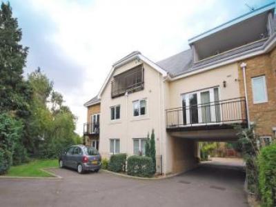 Annonce Location Appartement Twickenham