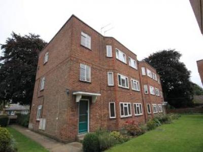 Annonce Location Appartement Norwich