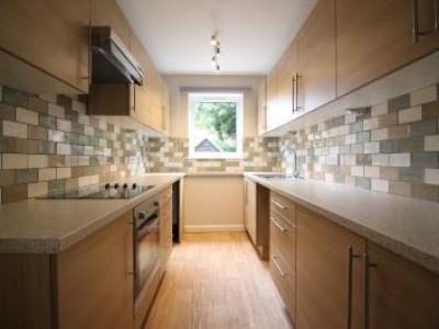 Annonce Location Appartement Norwich