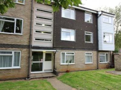 Annonce Location Appartement Bury-st-edmunds