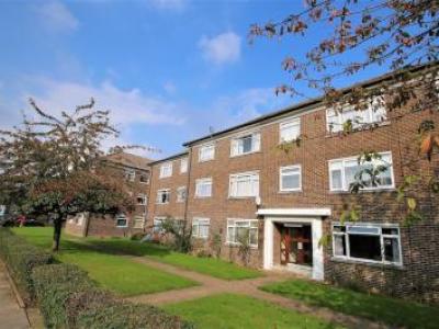 Annonce Location Appartement South-croydon