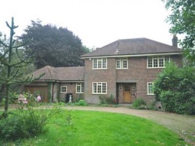 Annonce Location Maison Sevenoaks