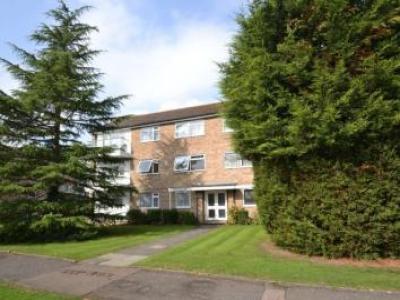 Annonce Location Appartement Ashtead