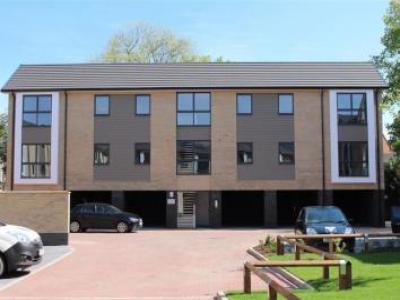 Annonce Location Appartement Norwich