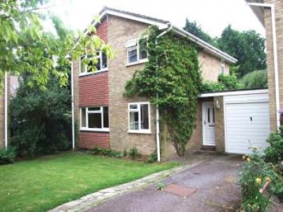 Annonce Location Maison Wokingham