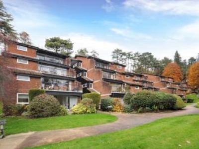 Annonce Location Appartement Warlingham