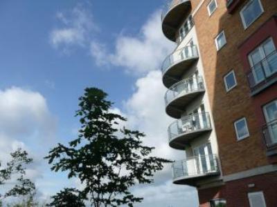 Annonce Location Appartement Basingstoke