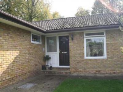 Annonce Location Maison Tunbridge-wells