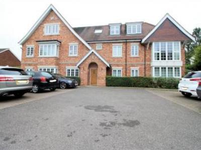 Annonce Location Appartement West-byfleet